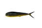 MAHI MAHI FISH (AAMBROSE)